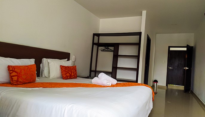 Habitación Doble - Hotel Palmeras de Luz - Moniquirá, Boyacá - image - 6