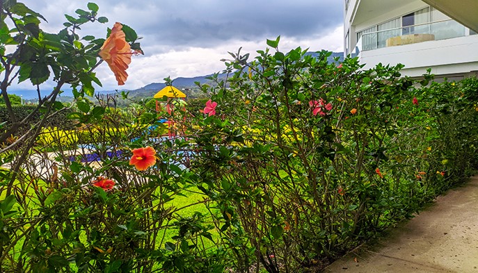 Habitación Sencilla - Hotel Palmeras de Luz - Moniquirá, Boyacá - image - 9